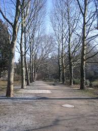 Alter Botanischer Garten Tubingen Wikipedia Country Roads Road Country