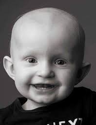 Obituary information for Brody N. Bibeau