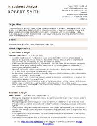 jr business analyst resume samples