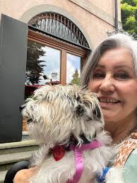 Antique stores in Ostuni or Cisternino?