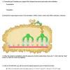 .answer key coursehero com, dna and rna test answer key expressmoney in, answer key biology flashcards and study sets quizlet, molecular biology mcq on dna answer key easybiologyclass, biology quiz questions amp answers cell dna genetics, dna replication answer key helpteaching com. 1