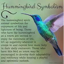 Hummingbird Spirit Animal Meaning Symbolism Hummingbird Symbolism Hummingbird Spirit Animal Bird Meaning