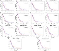 Comprehensive Analysis Of A Long Non Coding Rna Mediated