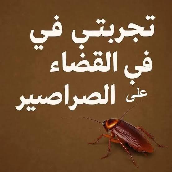 إبادة الصراصير ومكافحة الصراصير