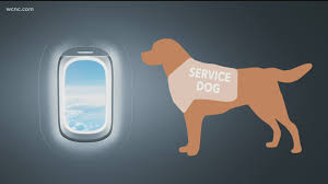 Small pets at least 8 weeks old, and combined weight for service and emotional support animals: American Airlines Is Grounding Emotional Support Animals Wgrz Com