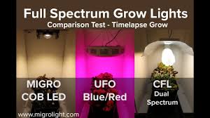 Marlin currently probes endlessly when set to self test via the menu some helpful people over on the ender 3 facebook group have informed me that the blue led being on is normal, and a good thing (turns out i read the. Full Spectrum Grow Light Comparison Test Cob Vs Red Blue Led Vs Cfl Youtube