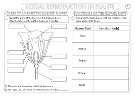 Huge Gcse Biology Worksheet Pack Biology Worksheet Science Worksheets Biology Resources
