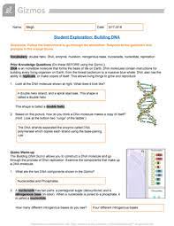 Gizmo building dna answer key. Building Dna Gizmo Student Exploration Building Dna Directions Follow The Instructions To Go Studocu