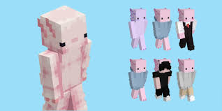 More than a decade after its release, minecraft remains one of the most popular games on pcs, consoles, and mobile dev. Axolotl Skins For Android Apk Download