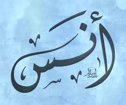 معنى اسم أنس 