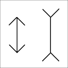 The judd illusion seems to be when the arrow heads are pointing in the same direction (on a single line): Why Does Our Brain Cause The Muller Lyer Illusion Even If We Know The Answer Quora