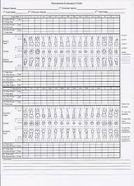 Perio Chart Template Pdf Www Bedowntowndaytona Com