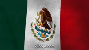 You can choose the most popular free flag waving gifs to your phone or computer. Happy Cinco De Mayo Vjloops Mexico Animation Flag Motiongraphics Backgrounds Stockfootage Fiesta Flag Background Mexico Flag Textured Background