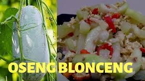 Tugas prakarya kel.3 cara membuat manisan blonceng nama kelompok: Resep Olahan Enak Blonceng Oseng Labu Air Blonceng Dan Telur Youtube