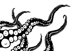 Image Result For Black And White Octopus Drawing Octopus Drawing Octopus Tentacles Tentacle