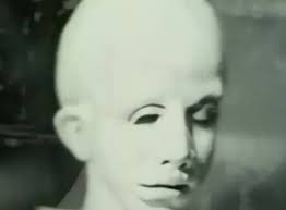 Fangoria magazines buy sell New Zealand