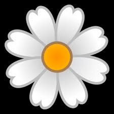 Blossom Emoji Meaning With Pictures From A To Z