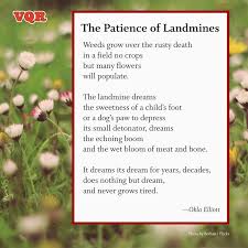The Patience Of Landmines By Okla Elliott Poem Poetry Awareness Patience Poems