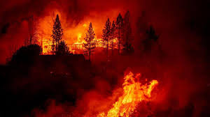 State of michigan (a total of 1.2 million acres, or 4,850 km²). Californie Il Avait Allume Un Incendie Mortel Pour Cacher Un Meurtre
