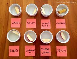 P>error analysis is the study of errors in learners' work with a view to looking for possible explanations for these errors. How I Feed My Child A Sensory Diet With Science Left Brain Craft Brain
