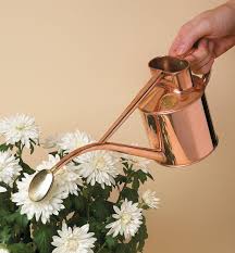 Searching for best watering cans? Haws Copper Watering Can Lee Valley Tools
