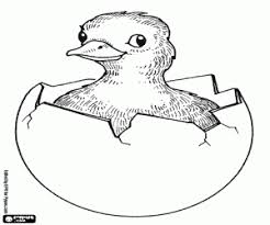 Veja a nossa selação de para colorir no desenhospracolorir.com.br. Desenhos De Passaros Para Colorir Jogos De Pintar E Imprimir