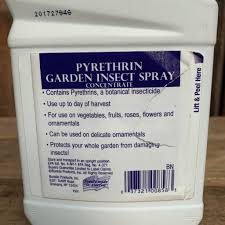 Image result for Pyrethrin