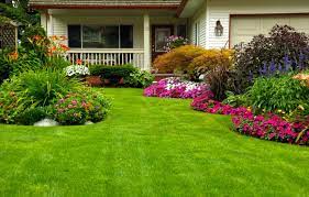 Browse the user profile and get inspired. Como Escolher As Plantas De Jardim Ideais Para Minha Casa