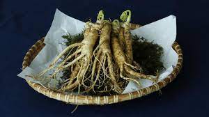 Cara pakai vitamale hwi obat kuat. Kimo Suplemen Membawa Manfaat Ginseng Merah Korea Dan Ginseng Ashwaganda Lifestyle Liputan6 Com