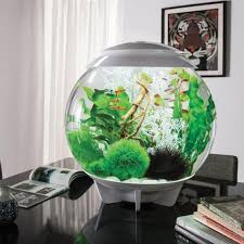 The Ultimate Guide To Modern Contemporary Fish Tanks With Big Style Spiffy Pet Products Aquarium Design Cool Fish Tanks Diy Aquarium