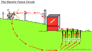 Check spelling or type a new query. Electric Fence Installation Construction Tips