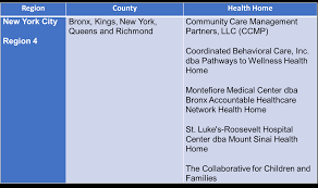 Facility a children's health home is not actually a place. Https Www Health Ny Gov Health Care Medicaid Redesign Behavioral Health Children Docs Childrens Waiver Capacity Management Pdf