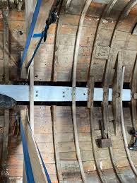 Image result for Copper Chestnut 2012 Cygnet