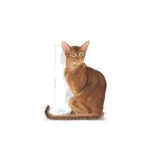 Royal Canin Exigent Kedi Mamasi 4 Kg Markamama Com Tr
