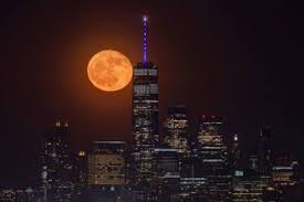 Trend Google: luna piena dei fiori
