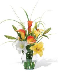 They are easy to maintain, as you don't need to water or trim them. Next Artificial Flowers Cheaper Than Retail Price Buy Clothing Accessories And Lifestyle Products For Women Men