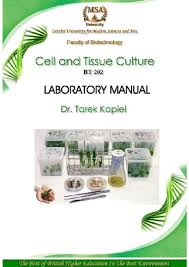 Biotechnology in horticultureapplication of plant cell and tissue culture • clonal propagation • disease elimination • secondary products • germplasm. Pdf Cell And Tissue Culture Laboratory Manual Tarek Kapiel Academia Edu