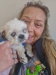 Bj's raw pet food quality concerns