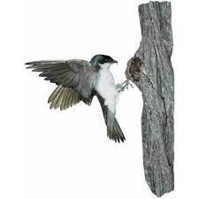 Maybe you would like to learn more about one of these? Peck Meaning Of Peck In Longman Dictionary Of Contemporary English Ldoce