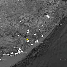 Image result for Habenaria gonatosiphon