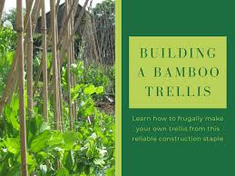 In the fall, i can easily cut down the string with the plants, chop it up a bit, and toss it into the compost pile. How To Build A Bamboo Garden Trellis Frugally Dengarden