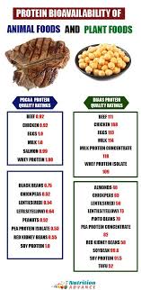 Pin On Dietary Protein