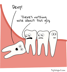 Why was a toronto dentist in panama? The Way Of A Wisdom Tooth Pigtelligent