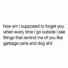 How Am I Supposed To Forget You When Every Time I Go Outside I See Things That Remind Me Of You Like Garbage Forget You Quotes Be Yourself Quotes Funny Quotes