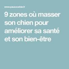 Epingle Sur Education Chien