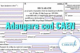 Procedura de adaugare cod caen srl se face atunci cand se doreste schimbarea sau adaugarea unei noi activitati in cadrul unei firme. Adaugare Cod Caen Pentru Srl Pfa Ii If