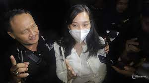 Dapat Rp 2 Juta di Setiap Judul Film Porno, Virly Virginia Sebut Hanya  Istirahat 30 Menit - TribunNews.com
