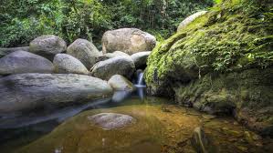 Discover the best of tanah merah so you can plan your trip right. Clean Safe Hotels In Tanah Merah 2021 Preferred Hotels Best Reviews