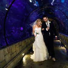 Shark Reef At Mandalay Bay Wedding Wedding Mandalay Bay Wedding Vegas Wedding