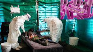 Marburg virus is a hemorrhagic fever virus of the filoviridae family of viruses and a member of the species marburg marburgvirus, genus marburgvirus. Hacxvadardanym